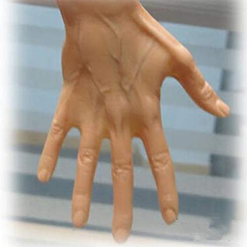 60cmの女性の人間の筋骨格の解剖学の構造モデル 芸術の医学の参照の樹脂モデル B085nxnrg1 11 193円 人気海外一番 100 品質保証 全品送料無料 即日出荷 Sale開催中