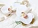 Tropical Wedding Prom Wrist Corsage Phalaenopsis Orchids and Boutonniere Set (Beige theme)
