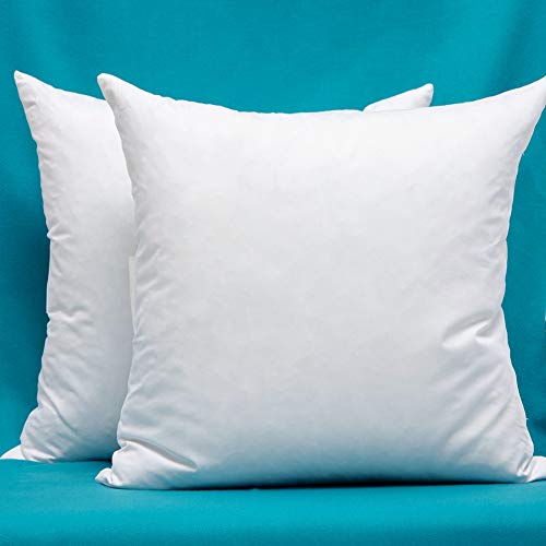 Set of 2, 24 x 24 Inches Cotton Fabric Square Pillow Inserts, Down and Feather Decorative Throw