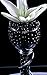 Sensory Jungle 16,000 Floral Water Pearls - Black - Vases and Centerpieces for Wedding Beads - Makes 12 gallons of Water Beads