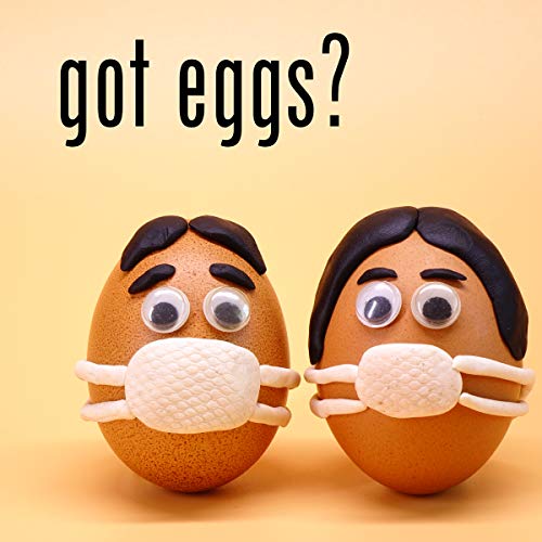 AAA Grade Egg Yolk Powder GlutenFree OU Kosher Certified (Pasteurized