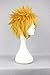 COSPLAZA Cosplay Wig Silver White Blonde Black Short Anime Full Hair