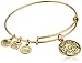 Alex and Ani Power of Unity Rafaelian Gold Bangle Bracelet