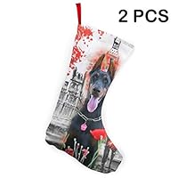 YUIOP Doberman Pinscher in Rose Personalized Christmas Stockings Home Decorations Gifts for Family (10" 2Pcs)