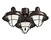 Emerson Boardwalk Cage LED Ceiling Fan Light Fixture
