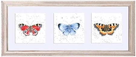 Wrendale Designs - A Trio of Butterflies