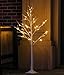Plabingo 4FT Lighted Birch Tree Christmas Tree 48 LED Lights with Warm White Light, Artificial Decorative Tree for Christmas Home Holiday Garden Party Festival Wedding Decor, Indoor and Outdoor Use