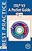 ITIL® V3: A Pocket Guide (ITSM Library)