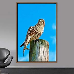 signwin Framed Canvas Wall Art Single Bird Birds...