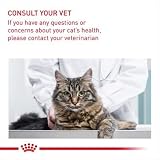 Royal Canin Urinary Care In Gravy Adult Wet Cat Food 85g Pack of 48 view 9