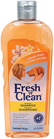 long lasting scent dog shampoo