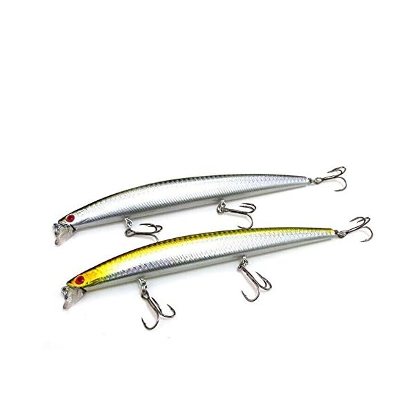 Goture-Hard-Fishing-Bait-2-Pieces-Lure-Minnow-17cm27g-Floating-Lures-for-Saltwater