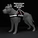 Service Dog in Training Vest with Reflective Strap & Removable Patches - Heavy Duty Nylon Straps and Handle for Dogs - 7 Sizes, ID Patch Options, Service Dog Vest Harness with IT tag (Red, Medium)