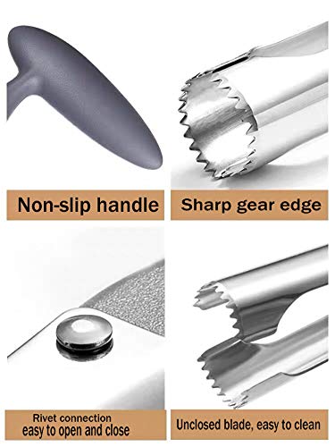 wertyu Apple Corer, Premium Stainless Steel Kitchen Gadget Tool Fruit Seeder Apple Corer Remover, Stainless Steel Apple… - Image 3