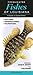 Freshwater Fishes of Louisiana: A Guide to Game Fishes