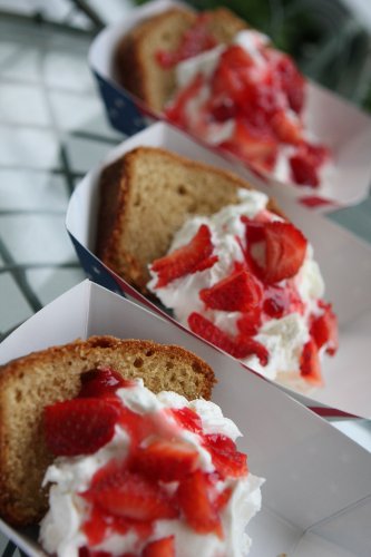 3 Southern+Champion+Tray+0534+Paperboard