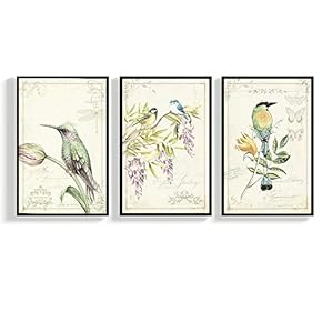 Floating Framed for Living Room Bedroom Vintage Bird...