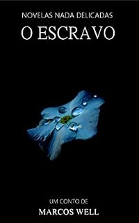 Livro O escravo (Novelas Nada Delicadas Livro 1)