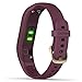 Garmin vivosmart 4 (Berry/Light Gold - Small/Medium) Smart Activity Tracker Power Bundle | +PlayBetter Portable Charger | Fitness Activity Tracker | Heart Rate