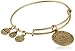 Alex and Ani Star of Venus III Expandable Rafaelian Bangle Bracelet