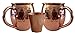 Whalehead Moscow Mule Copper Mugs - 100% Pure, Heavy Gauge, Solid Copper Mugs (1/2 lbs each) - Handcrafted, Stylish & Authentic Copper Moscow Mule Mugs with Hammered Finish - Set of 2, 16 Oz Volume
