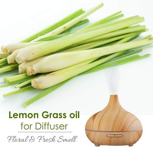 Lemon Grass (Cymbopogon citrates) Pure Natural Essential Aromatherapy Therapeutic Uncut Undiluted Massage Oil 1000ml/33.8fl z Express Shipping - Thumbnail 2