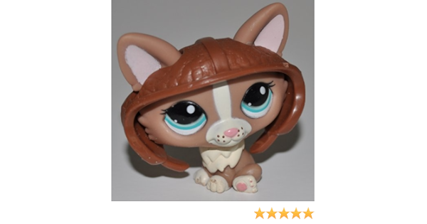 lps corgi amazon