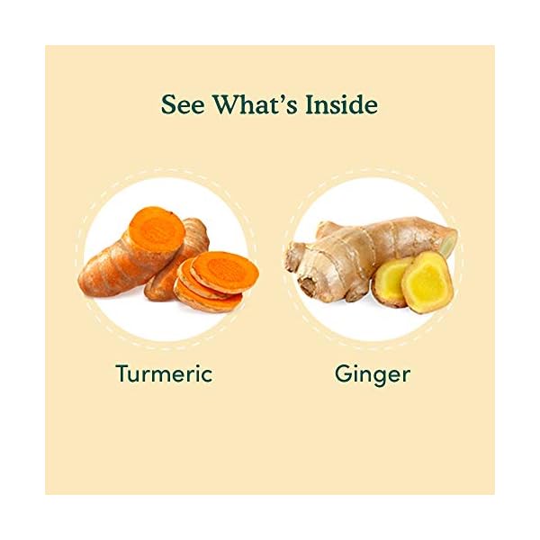 VAHDAM, Kurkuma Ingwer KrÃ¤utertee Tisane (100g) 100% NatÃ¼rliche Zutaten | Kurkuma Tee Und Ingwer Tee | Als HeiÃ- Oder Eistee AufbrÃ¼hen | Loser Tee – Bild 4