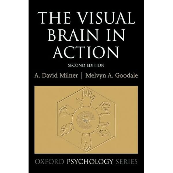 The Visual Brain in Action (Oxford Psychology Series