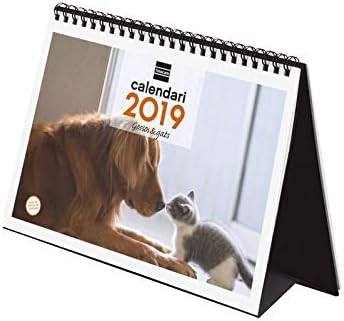 Finocam 780333019 Desktop Calendar 2019