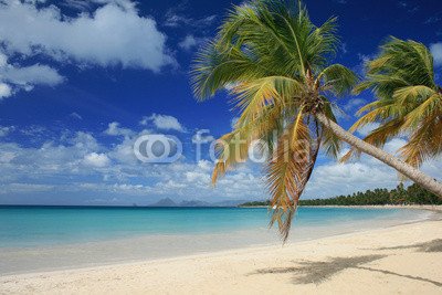 Adrium Papier Peint 50 X 30 Cm Plage Des Salines En