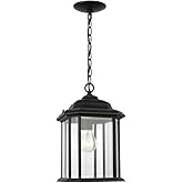Generation Lighting 60031-12 One Light Outdoor Pendant