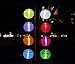 RioRand Chinese waterproof outdoor garden solar hanging LED light lanterns (Red/green/blue/yellow)