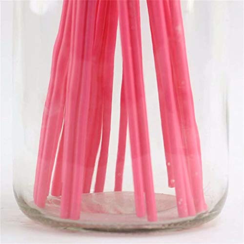 4 CARDEON+Feather+Teaser+Exerciser+Kitten