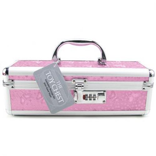 Lockable Vibrator Case - Pink image