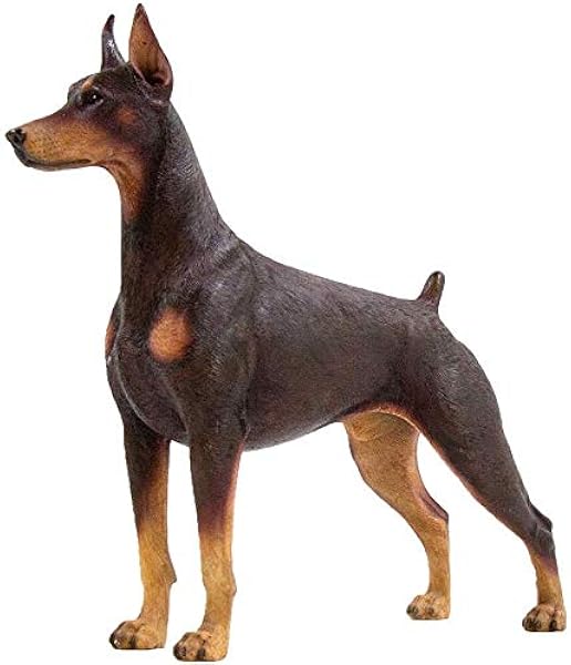 doberman market price