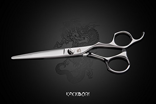 Kamisori Paladin 6.0