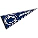 Penn State Nittany Lions Official Logo 30