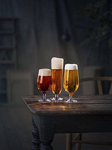Orrefors Beer Pils 15.5 Ounce Glass, Set of 6