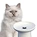 Raised Cat Food or Water Bowl - Vet Recommended Height (5