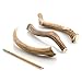 Best Bully Sticks USA 8-9 Inch Deer Antler Dog Chew (1 Antler)