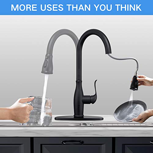 Touchless Kitchen Faucet with Pull Down Sprayer , Single Handle Motion
