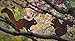 Elegant Garden Design Alert Squirrel, Steel Silhouette with Rusty Patina
