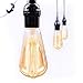 6 Pack Vintage Edison Light Bulbs, 60W E26/E27 Base Dimmable Replacement Light Bulbs for Wall Sconces Lights, Antique Squirrel Cage Lights, Pendant Island Ceiling Chandelier Light Lamps, Amber Warm