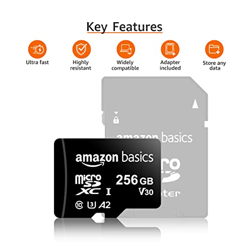 Amazon Basics microSDXC Memory Card with Full Size Adapter, A2, U3