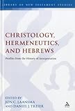 Christology, Hermeneutics, and Hebrews: Profiles from the History of Interpretation (The Library of New Testament Studies)