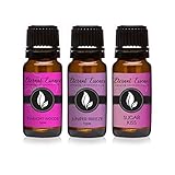Trio (3) - Twilight Woods, Sugar Kiss & Juniper Breeze - Premium Fragrance Oil Trio - 10ML