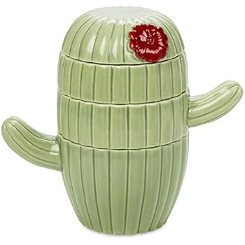 Amazon.com: Set of 4 Decorative Cactus Shaped Stackable ...