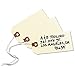Avery Shipping Tags with Wire, 11.5 pt. Stock, 4-1/4