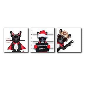 Funny Animals Home Artwork for Living Room Bedroom x3 Panels